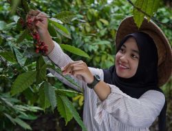 Mutigh Kawe (o): Dari Bengkulu, Membangun Narasi Kopi Islam – Sumatera