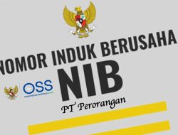 Bikin NIB di Kabupaten Kaur Cepat dan Mudah, Pelaku UMKM Disarankan Segera Miliki