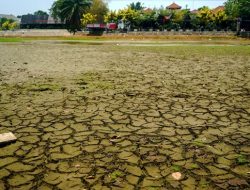 Danau Cinere Depok Mengering, Warga berburu ikan