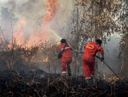 Ribuan Titik Panas Karhutla Tersebar di Sumatera